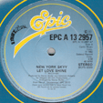 NEW YORK SKYY : LET LOVE SHINE / WON'T YOU BE MINE / LET'S CELEBRATE (REMIX)
