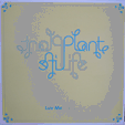 PLANTLIFE : LUV ME (TIL IT HURTS)  (LINUS LOVES/ORIG/RSL MIXES)